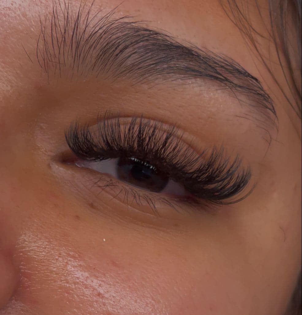 Close-up of a brushed-up eyebrow above full lashes